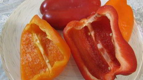 заливное морское дно